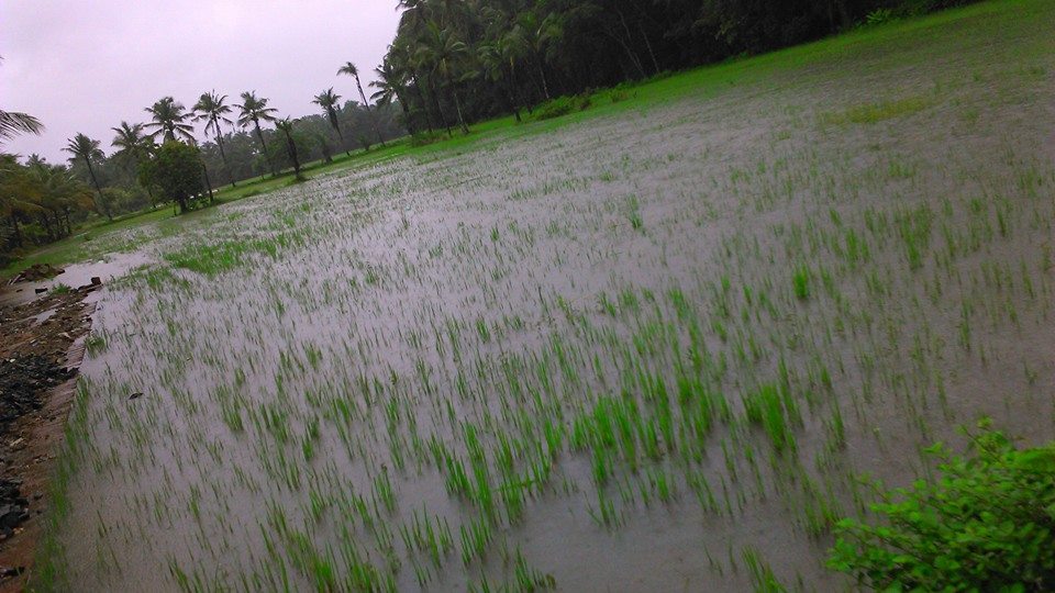 Rain - Kudallur